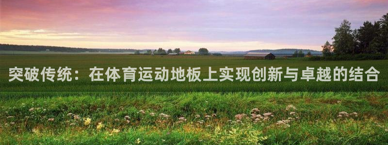 vsport体育官网下载平台注册要钱吗：突破传统：在