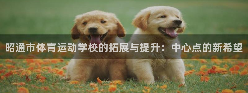 vsport体育官方正版app娱乐代理怎么样：昭通市