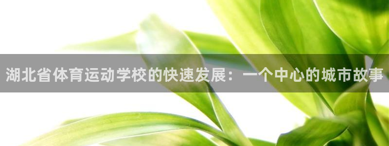 vsport体育官方正版app娱乐首页官网下载：湖北