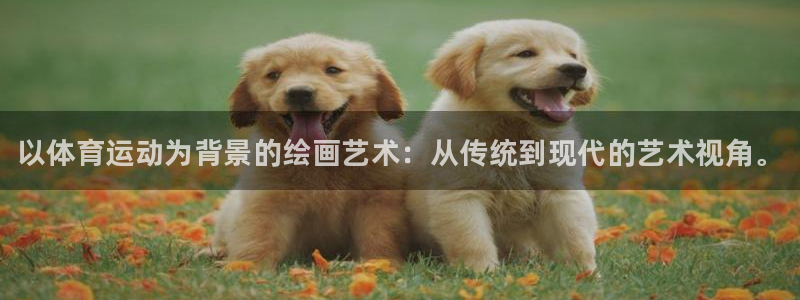 vsport体育官方正版app官网：以体育运动为背景