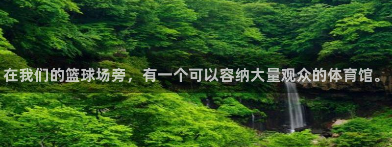 vsport体育官网下载平台注册：在我们的篮球场旁，