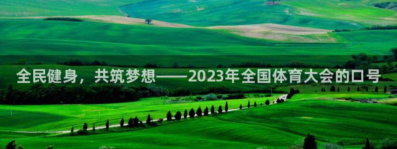 vsport体育官方正版app集团logo：全民健身