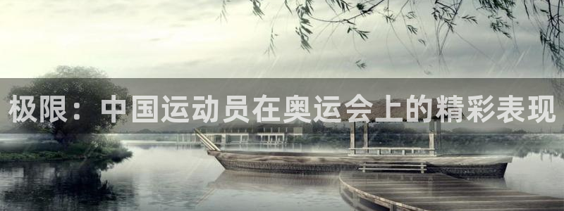 vsport体育官方正版app新能源：极限：中国运动员在奥运