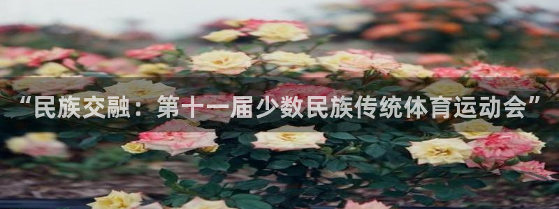 vsport体育官网下载招商电话号码是多少：“民族交