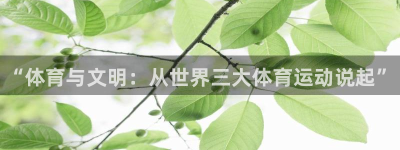 vsport体育官网下载平台注册要钱吗：“体育与文明