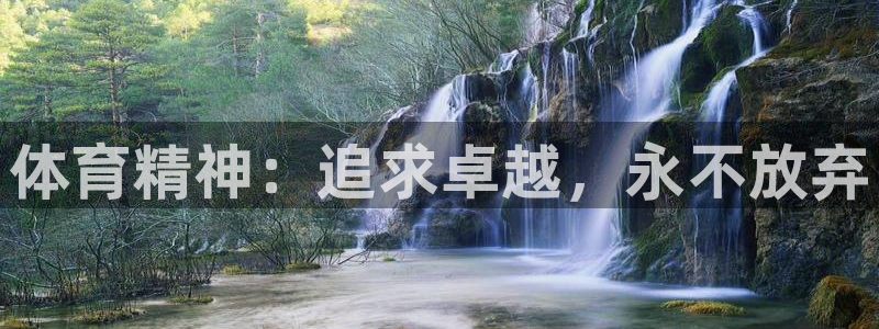 vsport体育官方集团官网：体育精神：追求卓越，永
