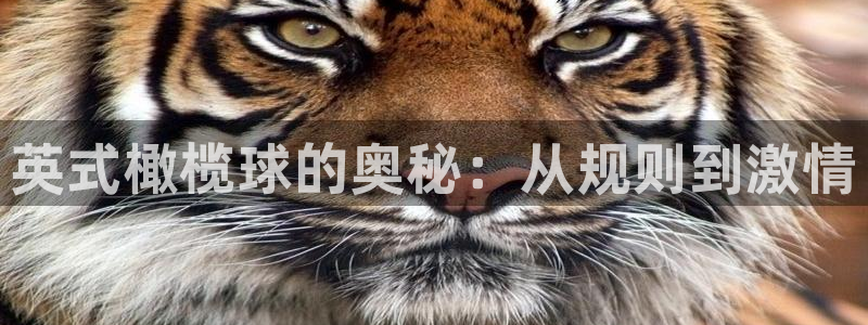 vsport体育官网下载招商电话是多少号码：英式橄榄