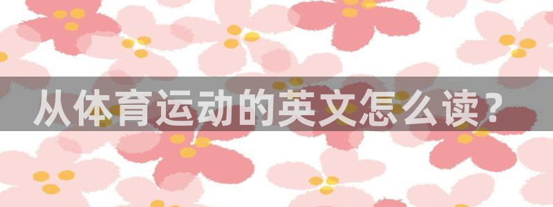 vsport体育官方正版app娱乐首页网站大全：从体