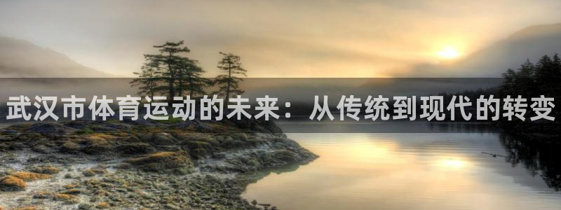 vsport体育官网下载招商电话地址：武汉市体育运动