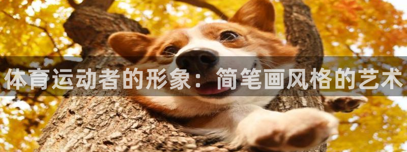 vsport体育官方正版app集团logo：体育运动