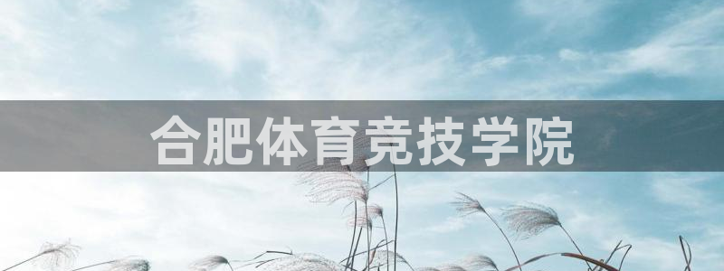 vsport体育官方正版app科技：合肥体育竞技学院