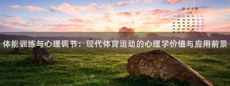 vsport体育官方正版app新能源：体能训练与心理