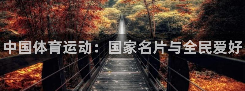 vsport体育官网下载平台假的吗是真的吗吗