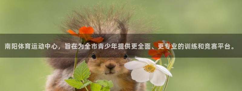 vsport体育官网下载招商电话地址查询：南阳体育运