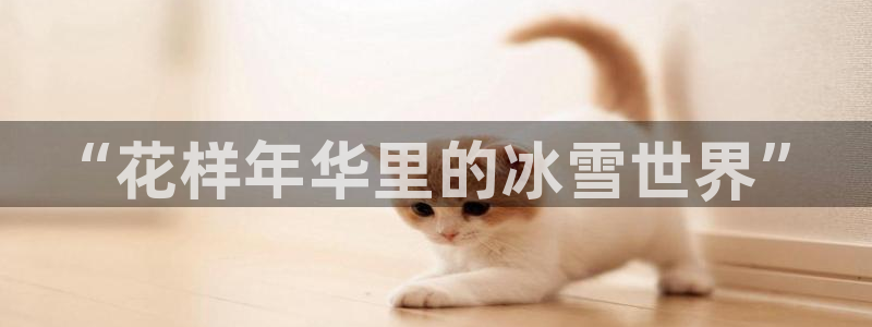 vsport体育官网下载招商电话号码是多少