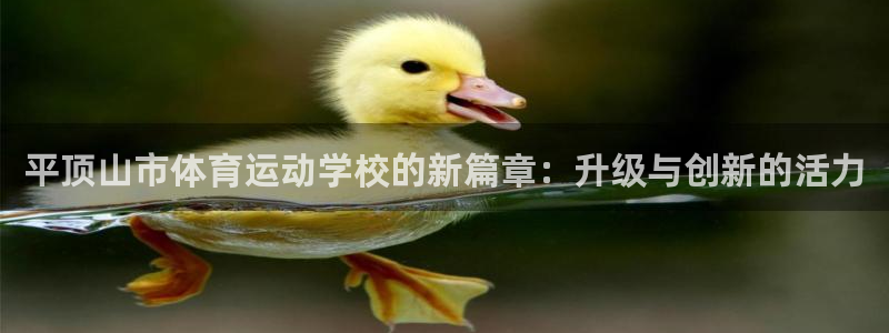 vsport体育官网下载平台注册要钱吗：平顶山市体育运动学校