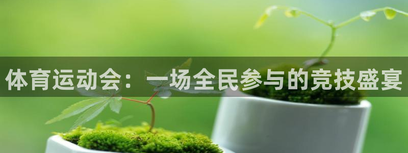 vsport体育官网下载平台注册要钱吗安全吗：体育运动会：一